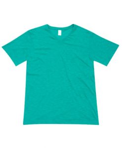 mens raw vee tee fruit green small